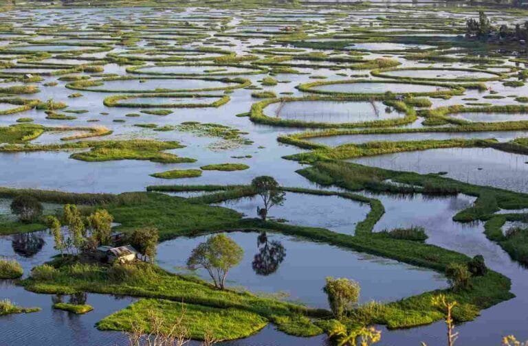 Loktak Lake, Manipur: A Magical World of Floating Islands